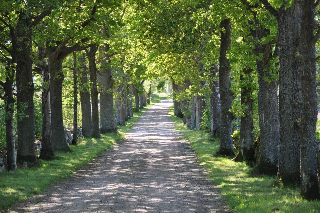 Appartamento Stalemara Gard Prutgasen Fågelmara Esterno foto