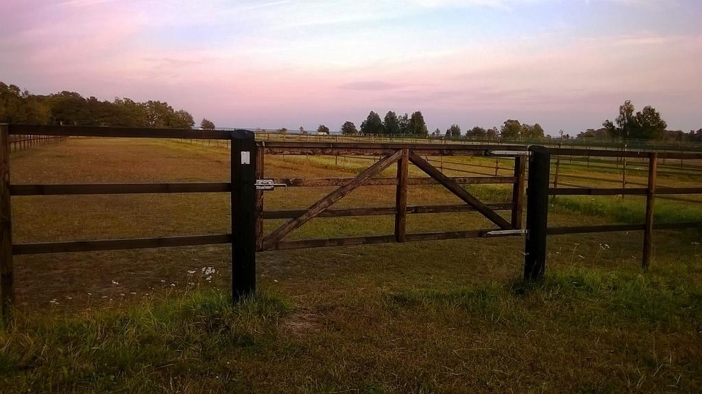 Appartamento Stalemara Gard Prutgasen Fågelmara Esterno foto